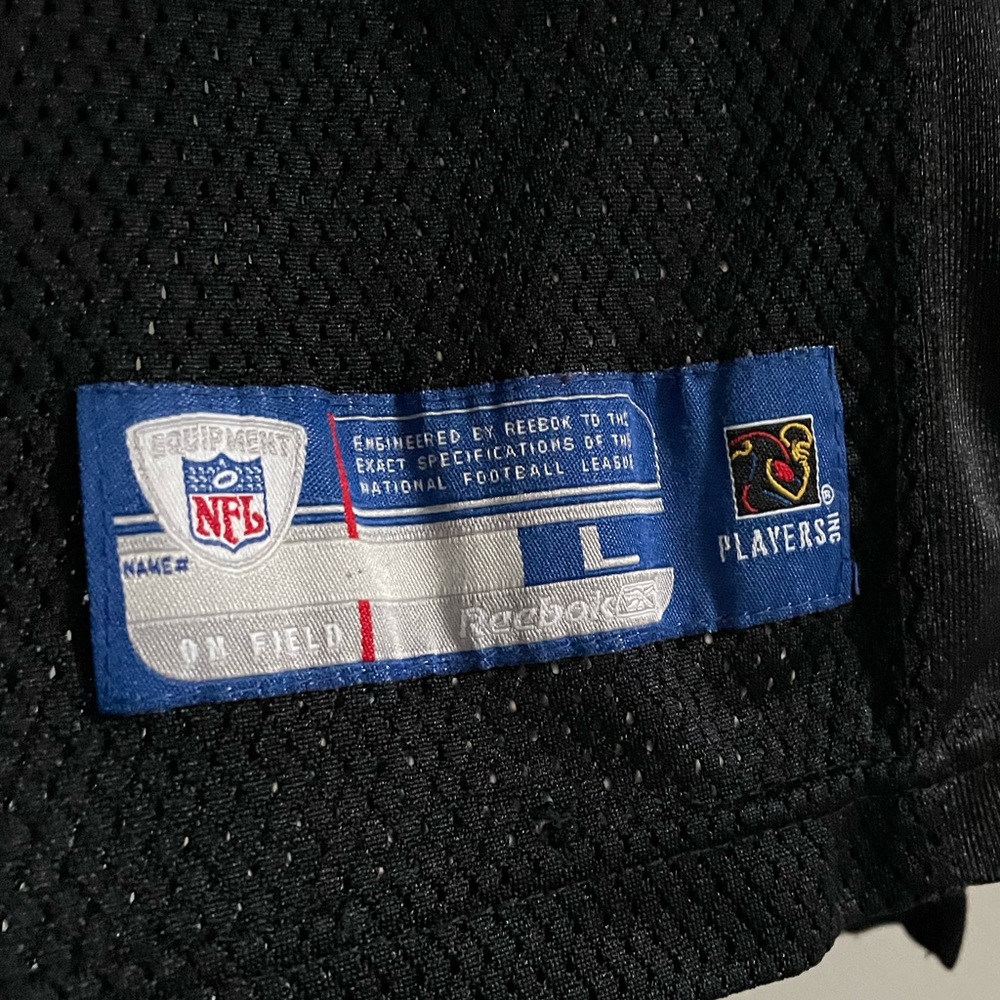 Reebok Carolina Panthers Delhomme Football Jersey number 17 - Picture 4 of 7
